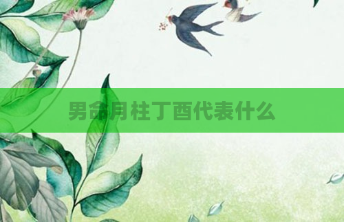 男命月柱丁酉代表什么