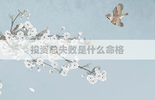 投资总失败是什么命格