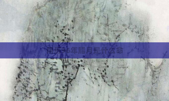 阴历96年腊月是什么命