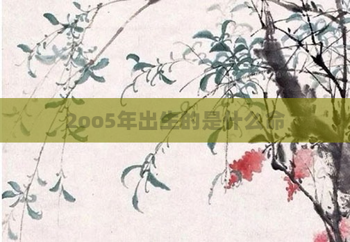 2oo5年出生的是什么命