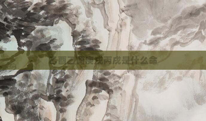 乙酉乙酉庚戌丙戌是什么命