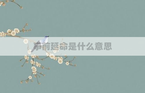 事前延命是什么意思