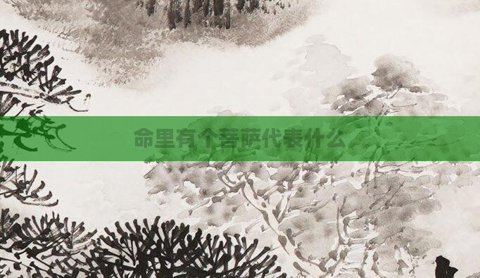 命里有个菩萨代表什么