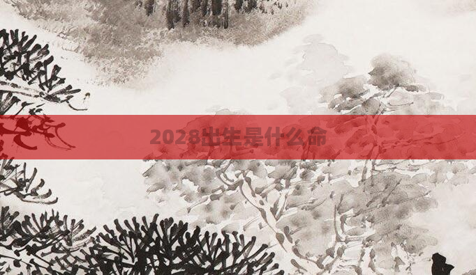 2028出生是什么命