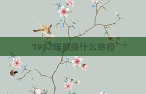 1982年属兔什么命格