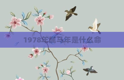 1978年属马年是什么命