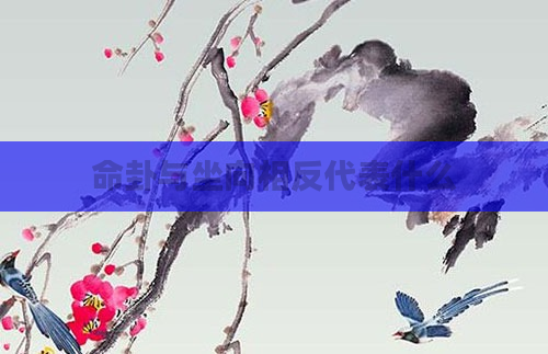 命卦与坐向相反代表什么
