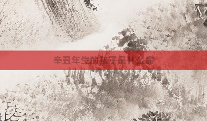 辛丑年生的孩子是什么命