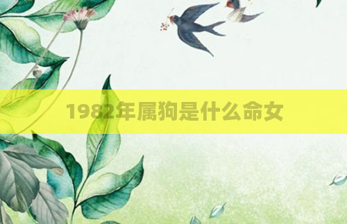 1982年属狗是什么命女