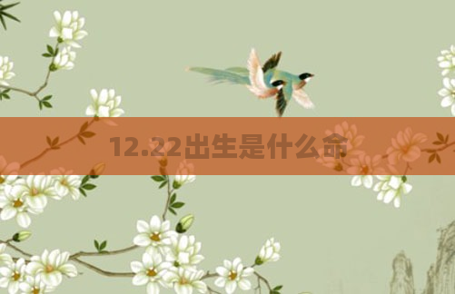12.22出生是什么命