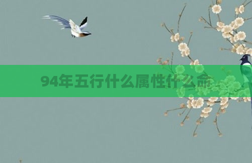 94年五行什么属性什么命
