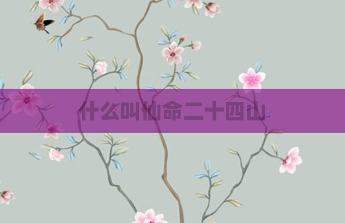 什么叫仙命二十四山