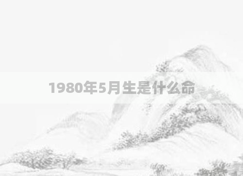 1980年5月生是什么命
