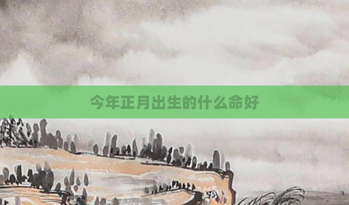 今年正月出生的什么命好