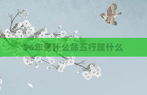 96年兔什么命五行属什么