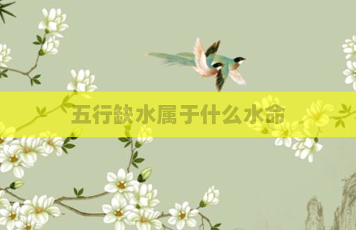 五行缺水属于什么水命