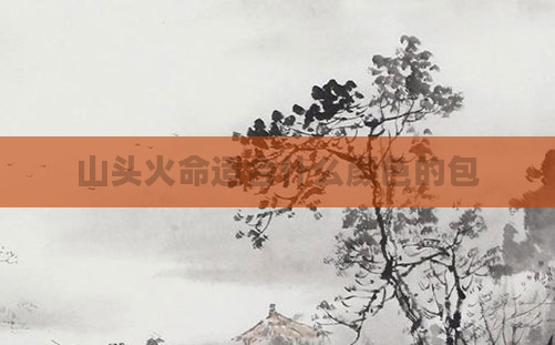 山头火命适合什么颜色的包
