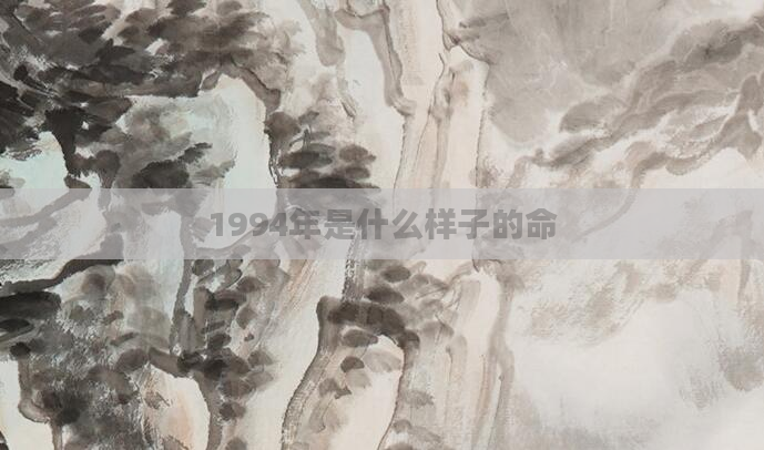 1994年是什么样子的命