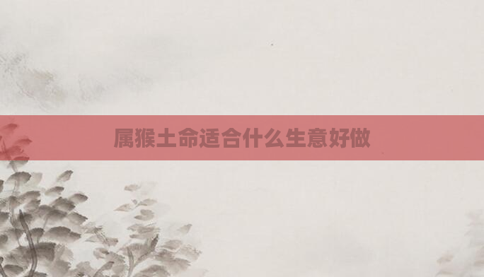 属猴土命适合什么生意好做