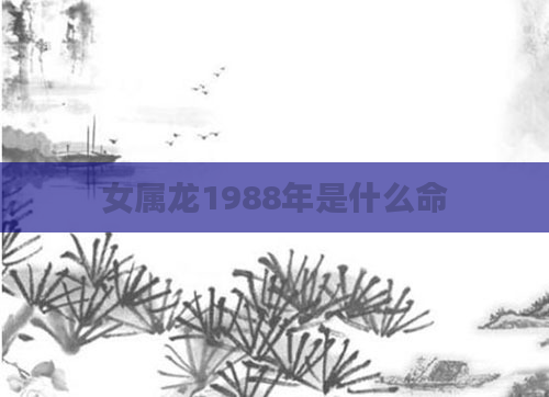 女属龙1988年是什么命