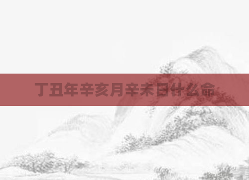 丁丑年辛亥月辛未日什么命