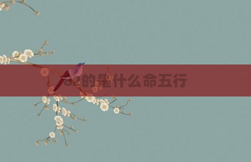 82的是什么命五行