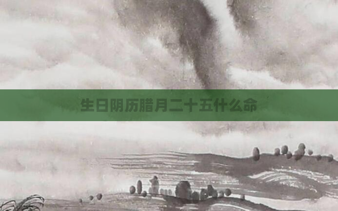 生日阴历腊月二十五什么命