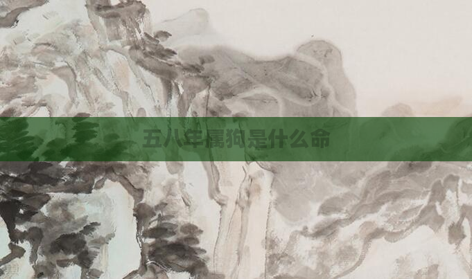 五八年属狗是什么命