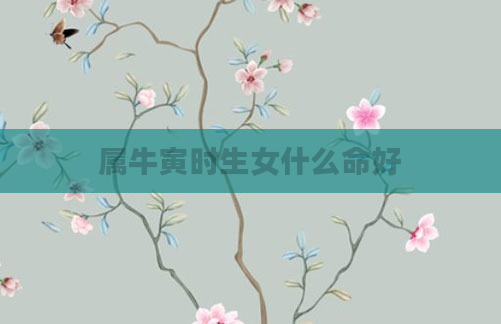 属牛寅时生女什么命好