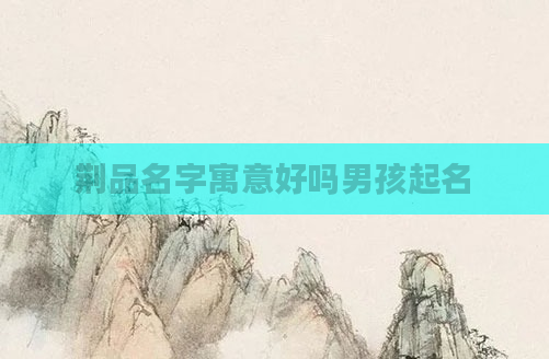 荆品名字寓意好吗男孩起名