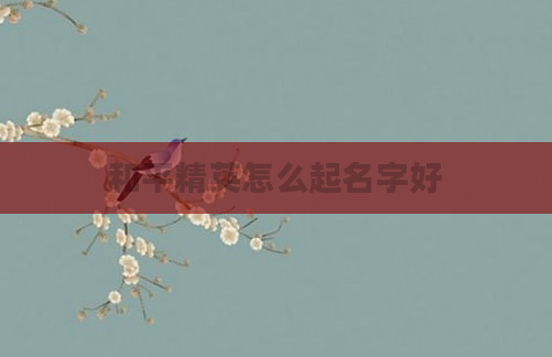 和平精英怎么起名字好