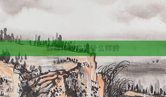 算命神仙命是什么样的