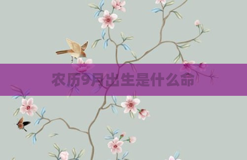 农历9月出生是什么命