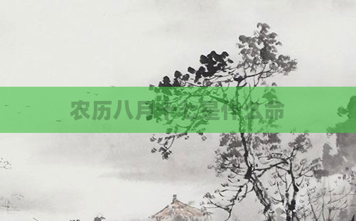 农历八月十七是什么命