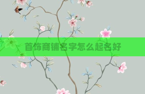 首饰商铺名字怎么起名好