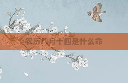 农历八月十四是什么命