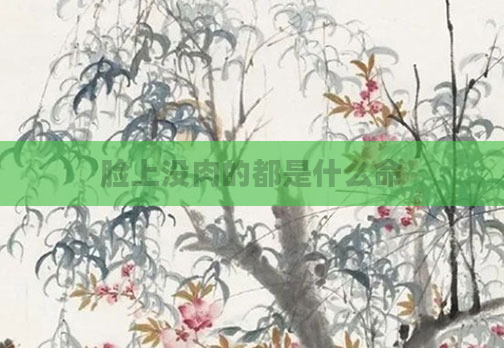 脸上没肉的都是什么命