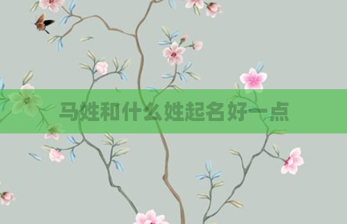 马姓和什么姓起名好一点