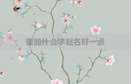 銮加什么字起名好一点