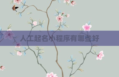 人工起名小程序有哪些好