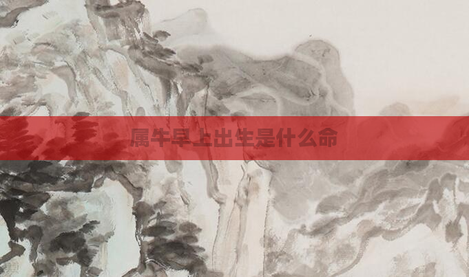 属牛早上出生是什么命
