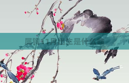 属狗11月出生是什么命
