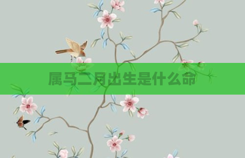 属马二月出生是什么命