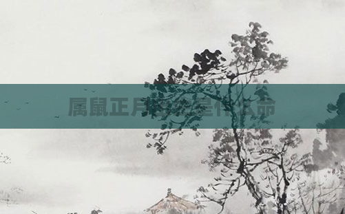 属鼠正月出生是什么命
