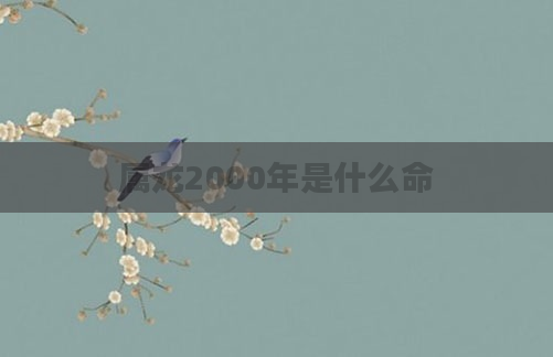属龙2000年是什么命