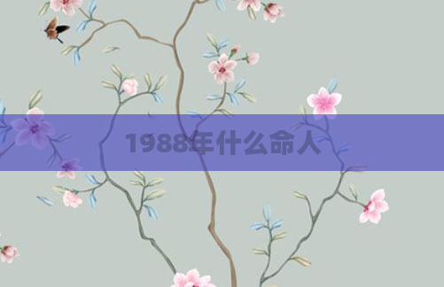 1988年什么命人