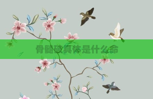 骨髓破具体是什么命