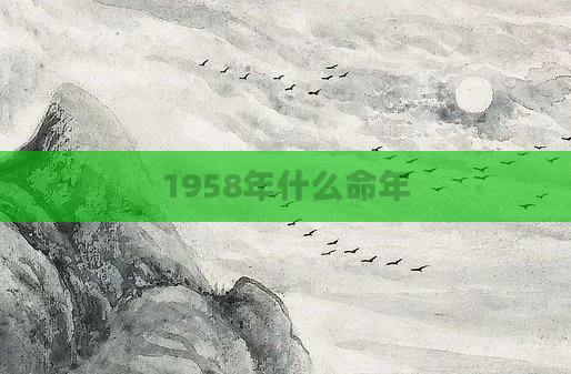1958年什么命年