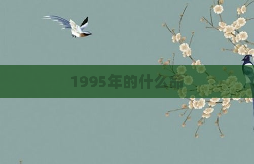 1995年的什么命