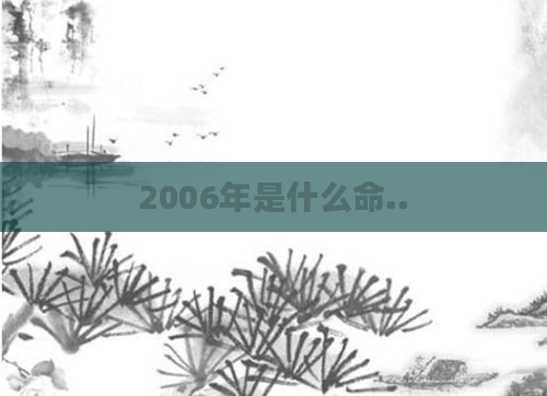 2006年是什么命..